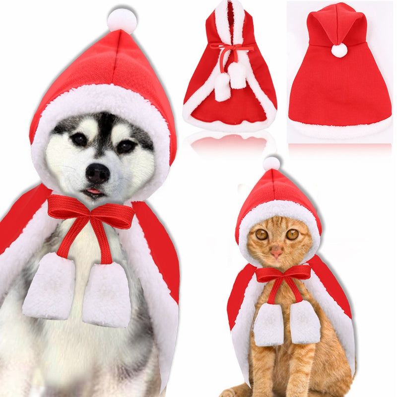 Dogs in christmas outlet costumes