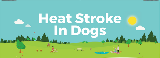 Heat Stroke Kills Dogs