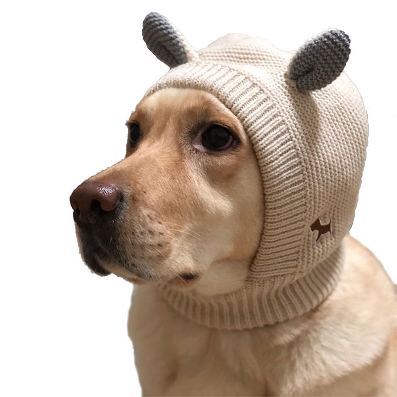 Winter Dog Hat