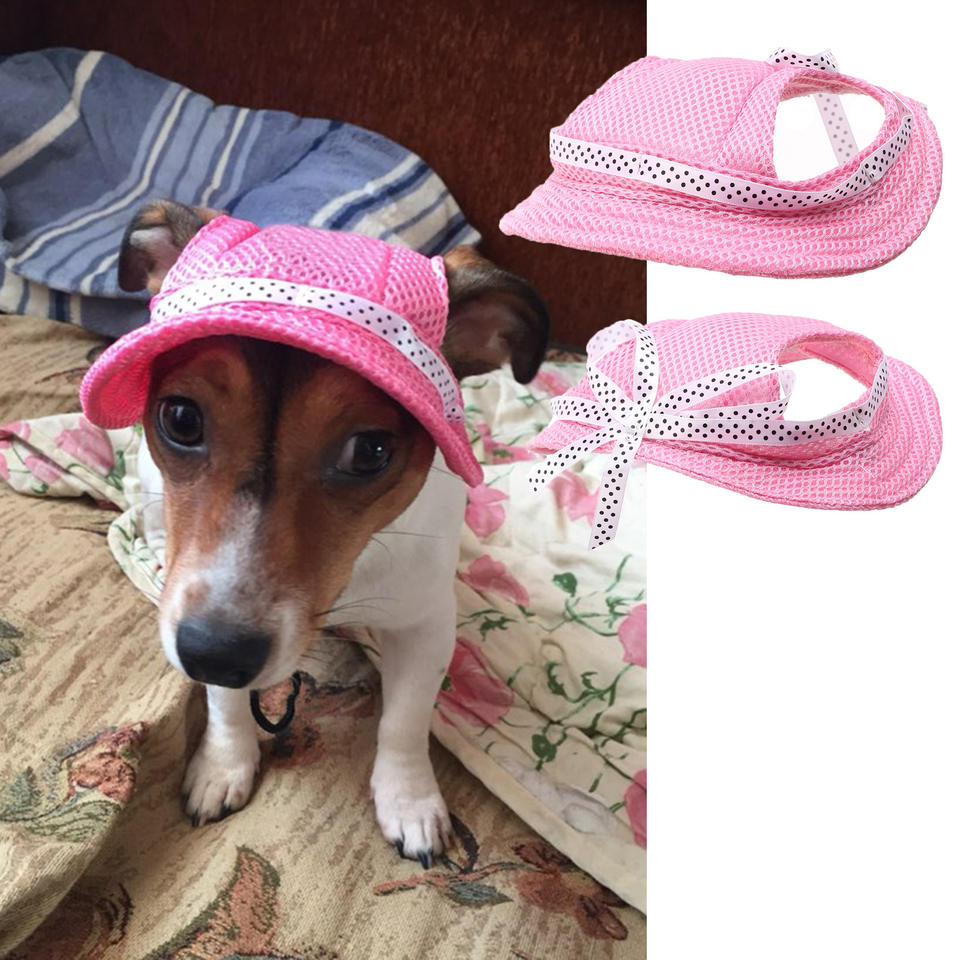 Cute Summer Dog Hat