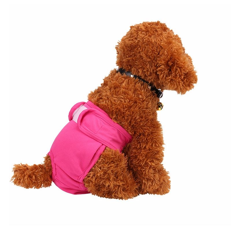 Reusable & Washable Dog Nappy