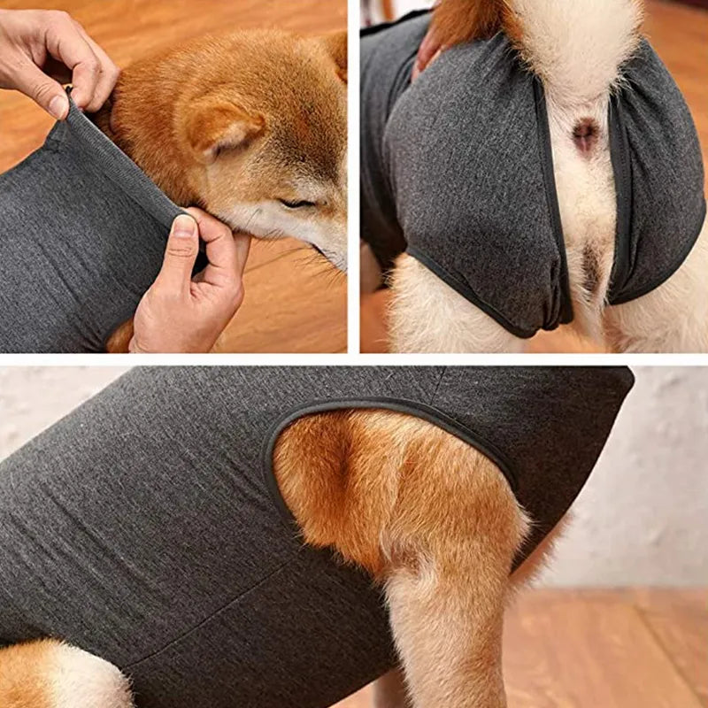 Turtleneck Dog Surgery Recovery Suit