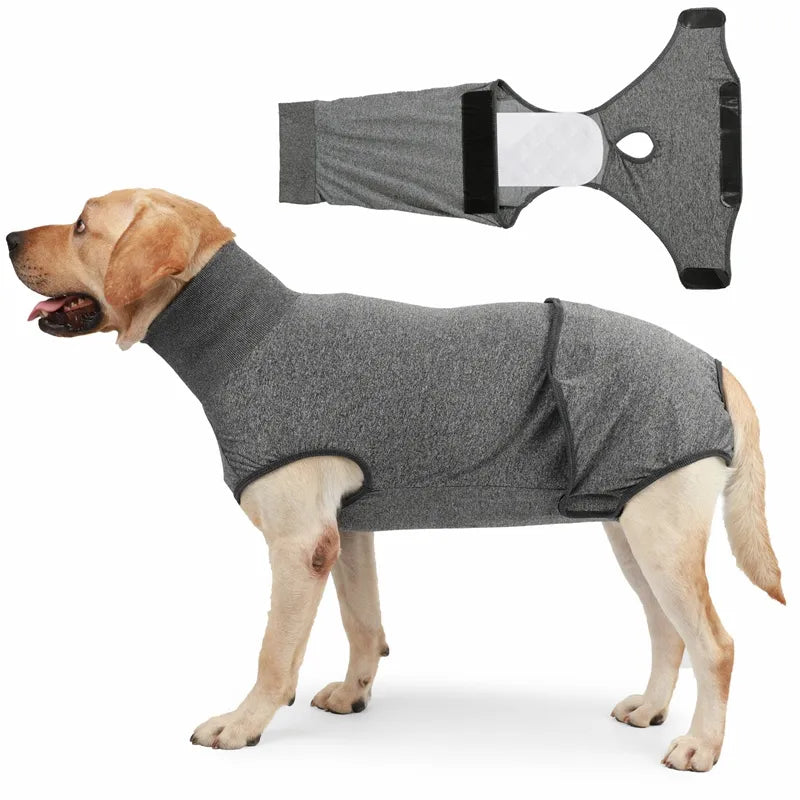 Turtleneck Dog Surgery Recovery Suit