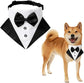 Dog custom tuxedo wedding