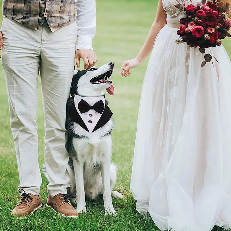 Dog custom tuxedo wedding