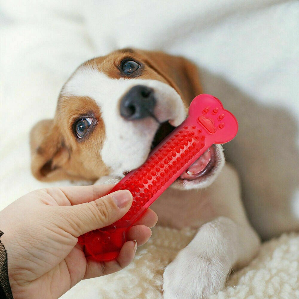 Dog toys dog teething toys dog chewy toyss puppy toys puppy teething toys puppy chewy toys (6995701301442)