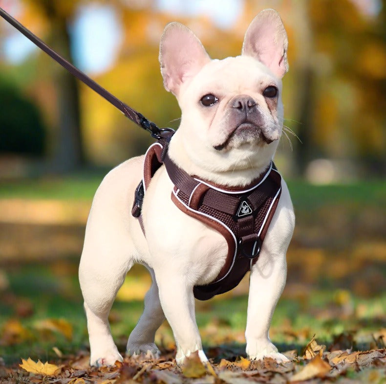 Comfortable Dog Harness