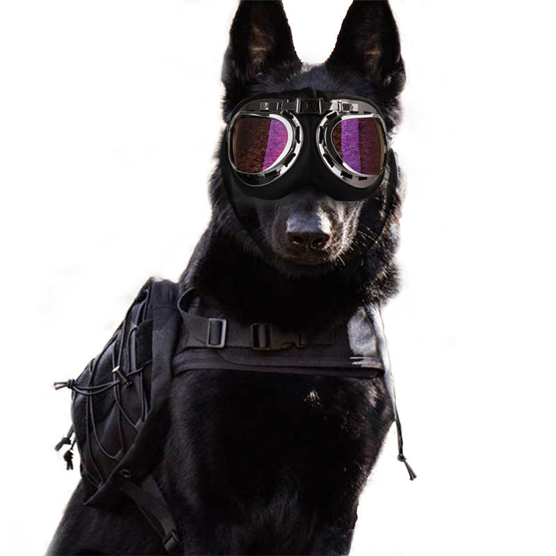 Dog wears Adjustable Dog Sunglasses