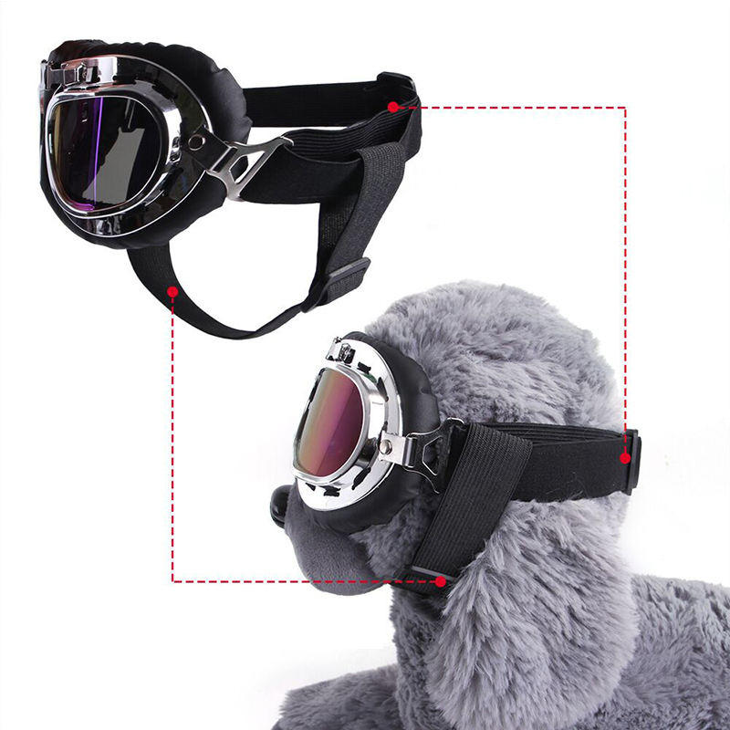 Toy wears Adjustable Dog Sunglasses