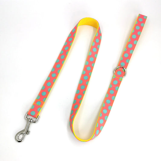 Stylish Dog Leash