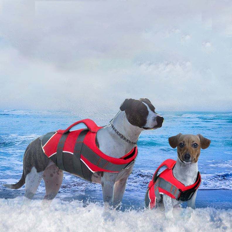 Dog Life Jacket