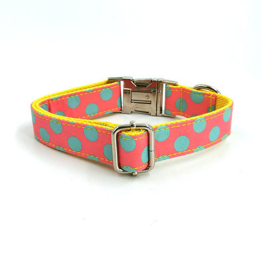 Stylish Dog Collar