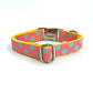 Stylish Dog Collar