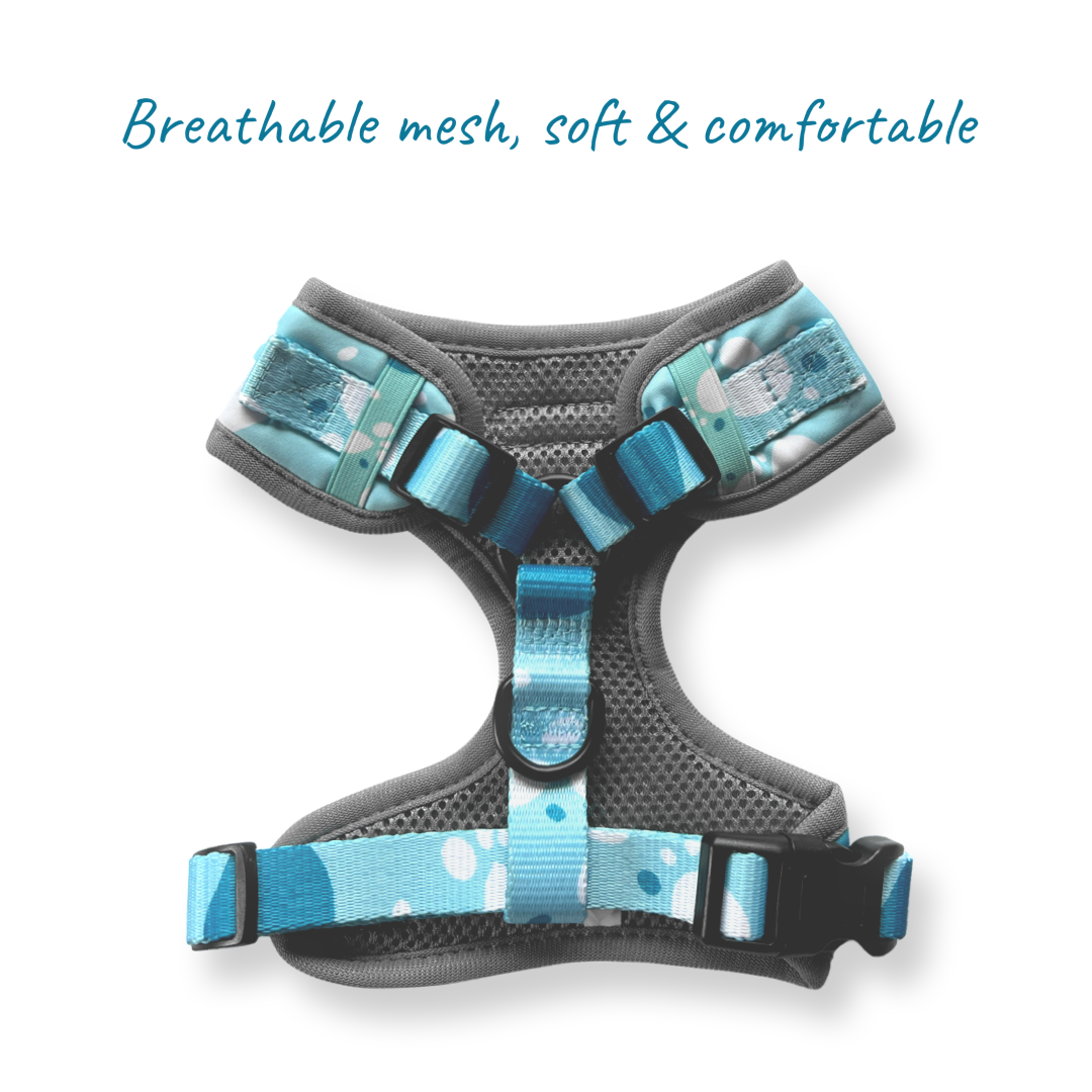 Beautiful Dog Harness Rear