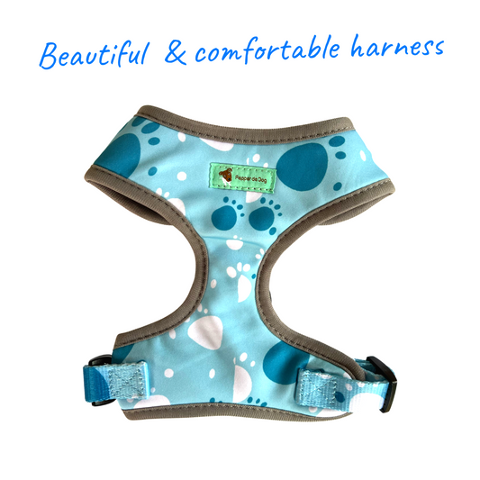 Beautiful Dog Harness